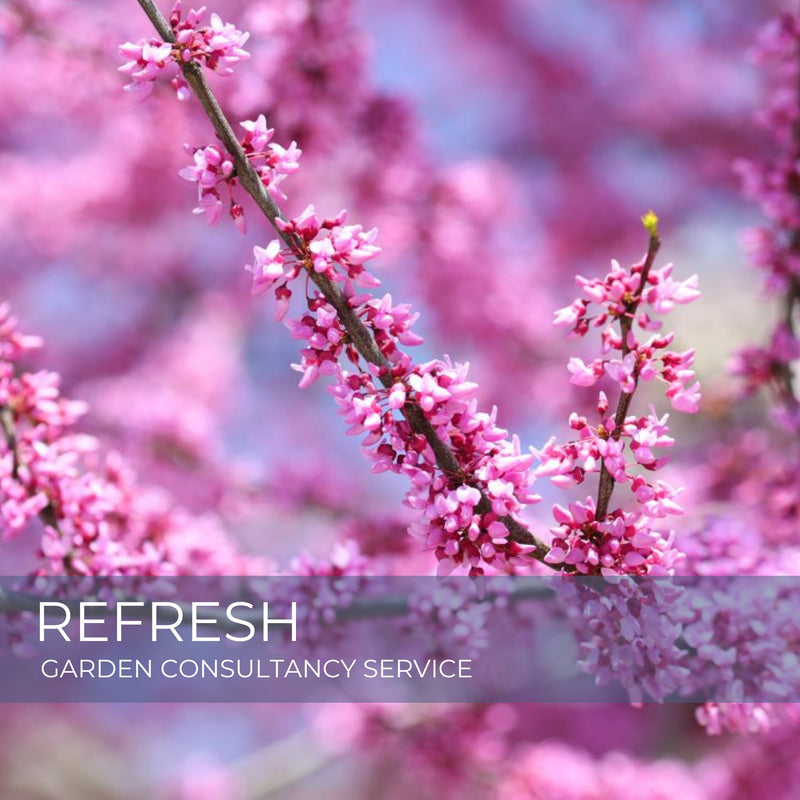 Refresh Garden Consultancy Service